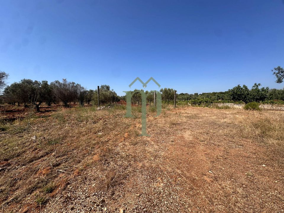 Ruin i Carovigno, Brindisi - bilde 4